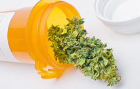 legalizacja medycznej marihuany