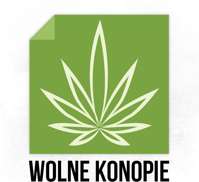 Wolne Konopie - Andrzej Dołecki