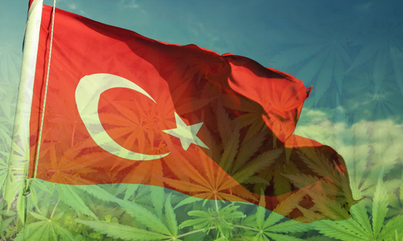 Turcja legalizuje marihuany