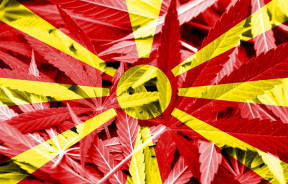Macedonia zalegalizowała marihuanę