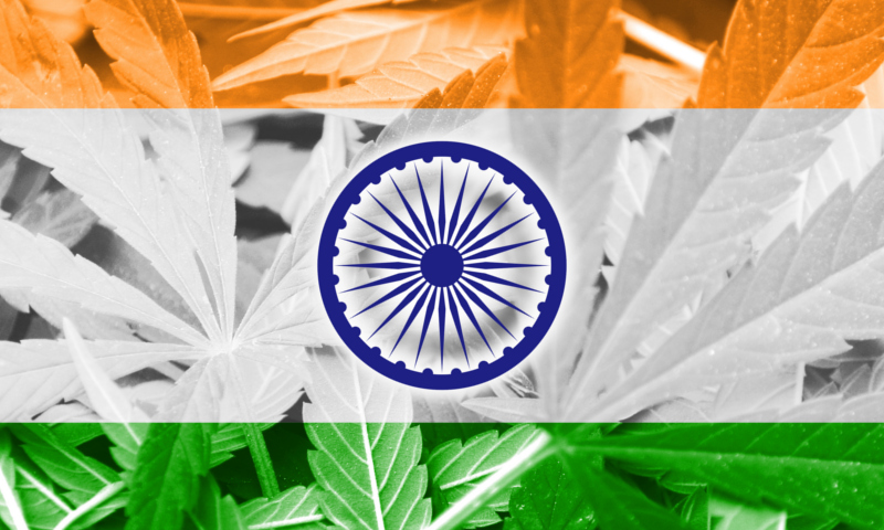 Gandhi zalegalizować medyczną marihuanę