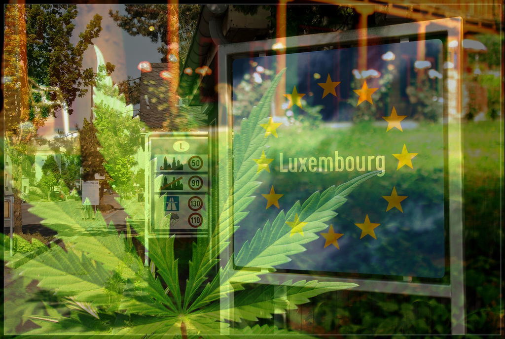 legalizacja marihuany w europie