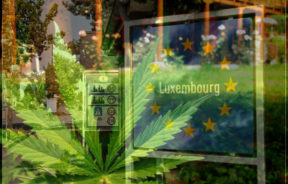 legalizacja marihuany w europie