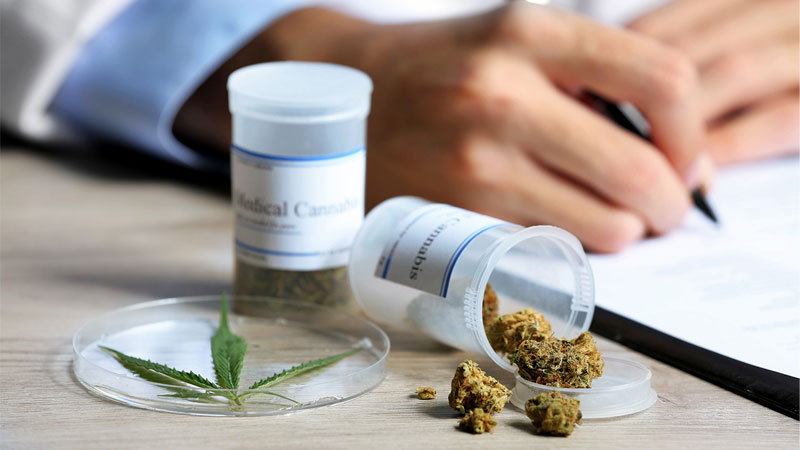 Medyczna marihuana - pacjenci odstawiają leki farmakologiczne