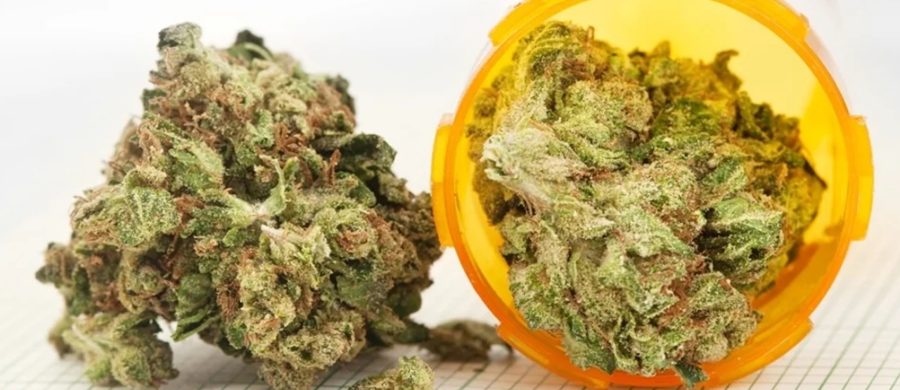 Uwaga pacjenci! Medyczna marihuana jest już w aptekach - Nowy producent -  AURORA