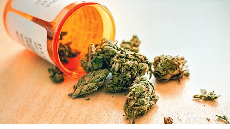 Nowość w aptekach! Cannabis Flos THC 1% + CBD 12% jest już dostępny!