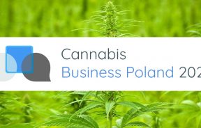 cannabis buisness poland