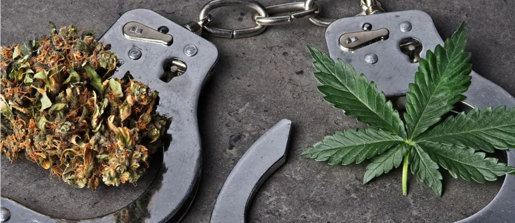 Parlamentarny Zespół ds. Legalizacji Marihuany