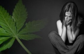 CBD THC depresja