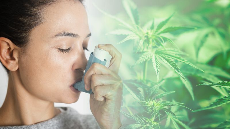 marihuana w leczeniu astmy