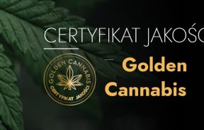 Cannalabs certyfikat "Gold Cannabis"