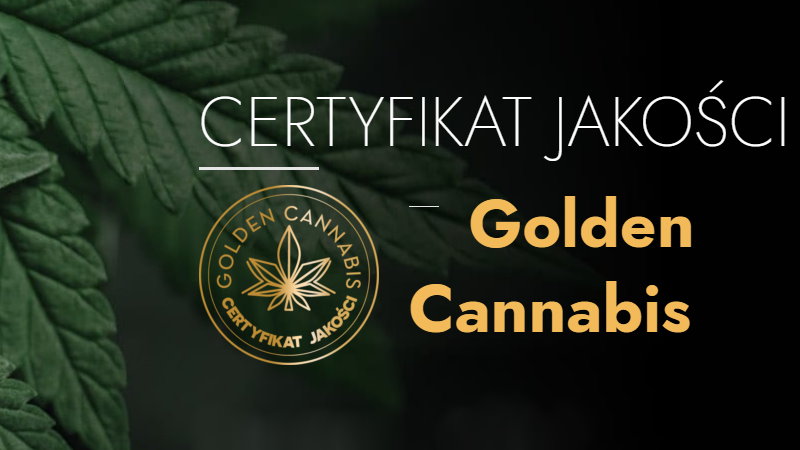 Cannalabs certyfikat "Gold Cannabis"