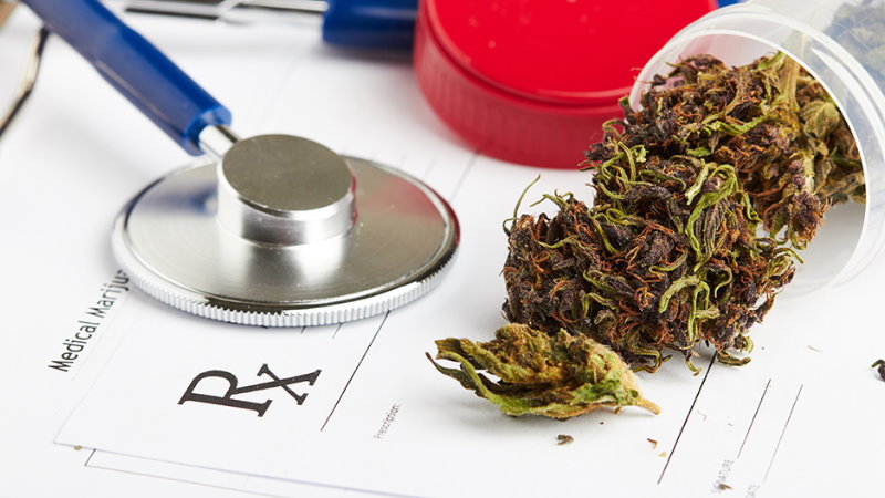 wskazania i przeciwwskazania do stosowania medycznej marihuany