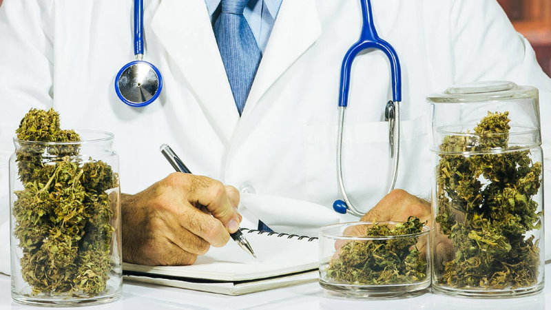 Potrzebna Ci recepta medyczną marihuanę? Umów się na lekarskie konsultacje konopne w BioHemp